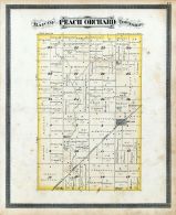 Peach Orchard Township, Melvin, Ford County 1884